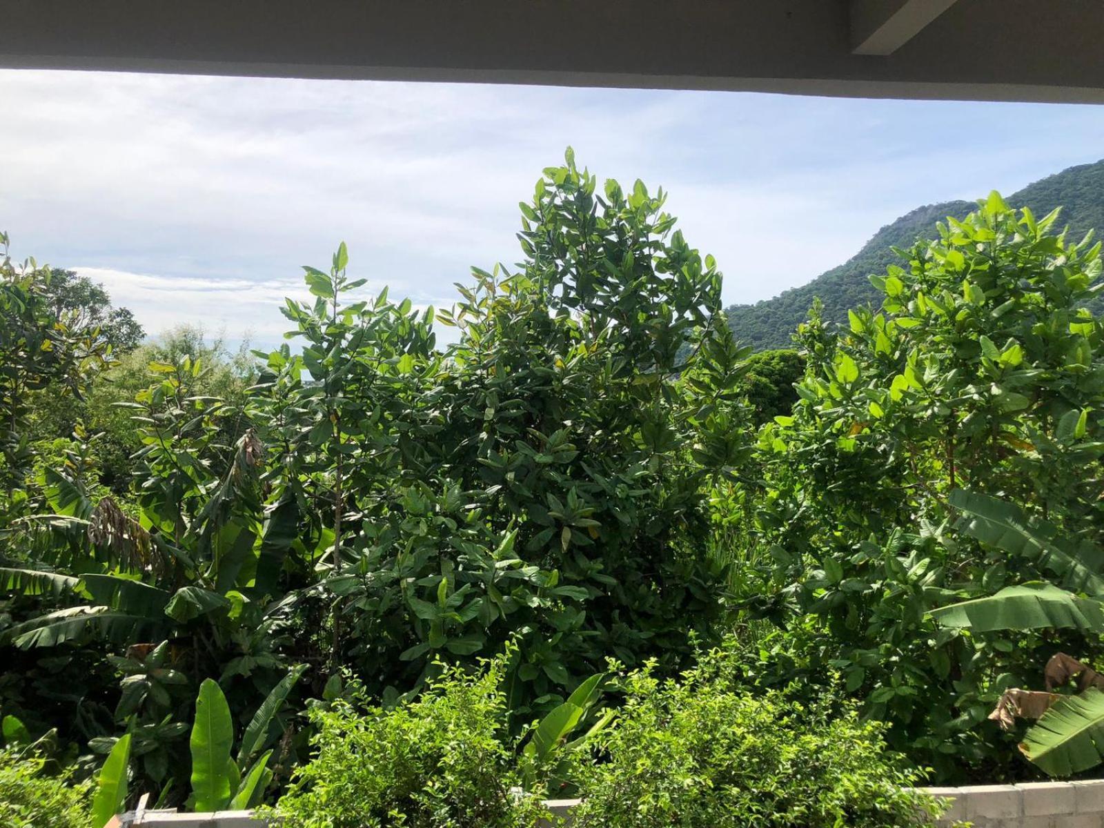 Villa Lorita - Suite Pantanal - Rio de Janeiro — Photos 3